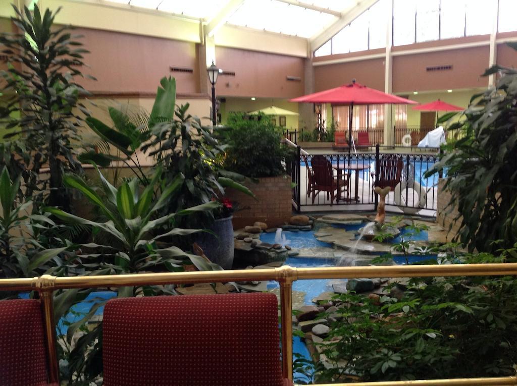 Wyndham Garden Amarillo酒店 外观 照片