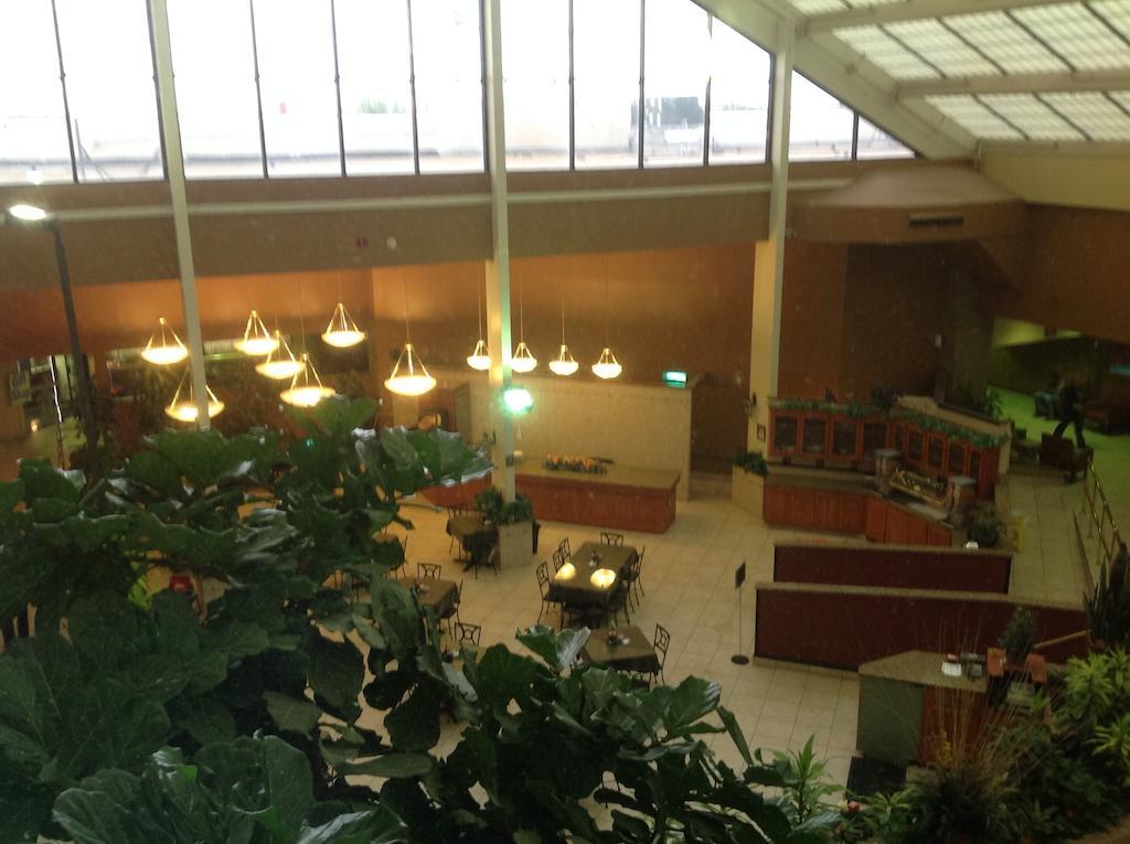 Wyndham Garden Amarillo酒店 外观 照片